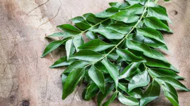 garnishing-instructions-image